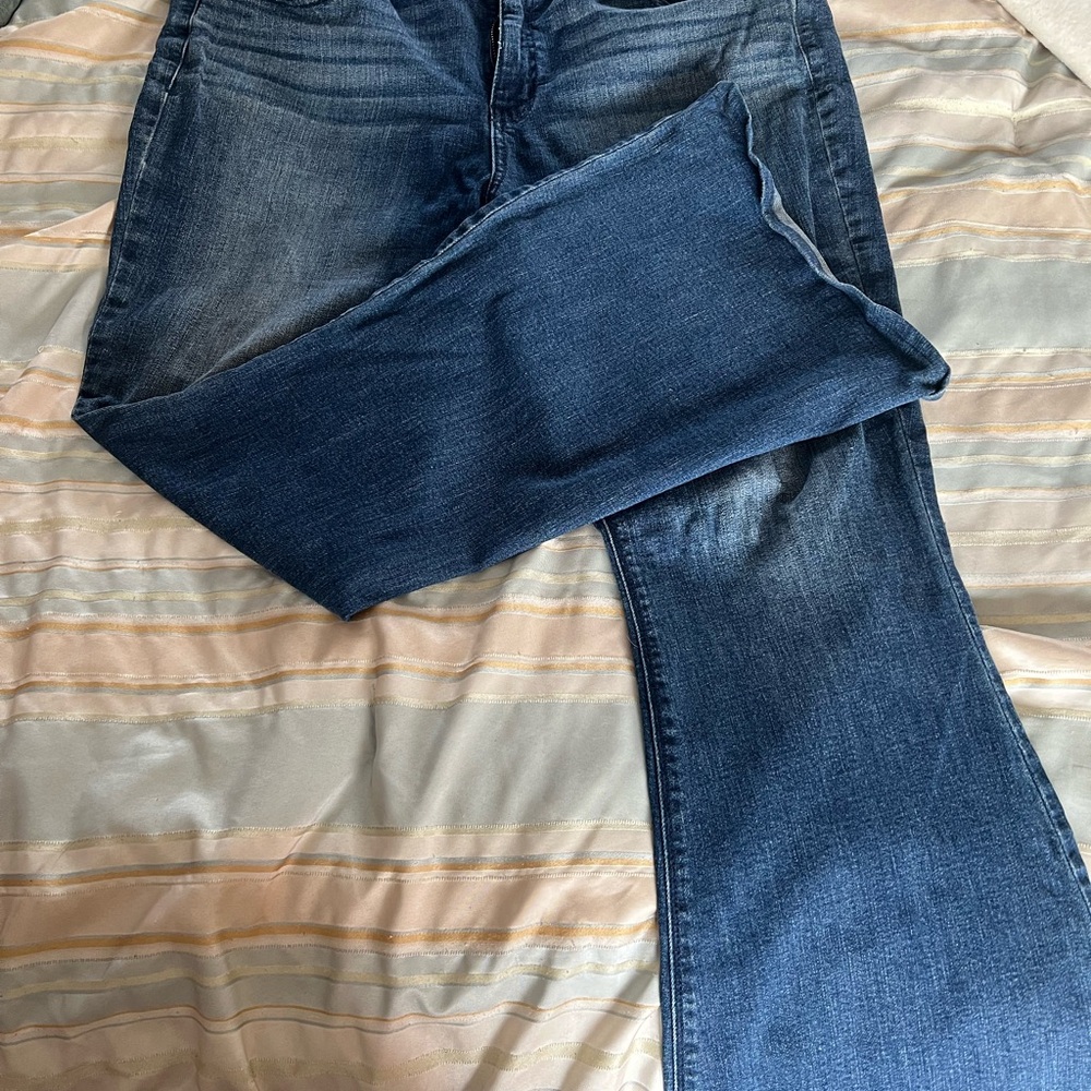 American Eagle Outfitters Dark Blue Flare Jeans